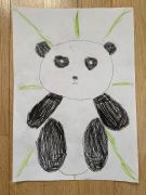 Panda - Mila