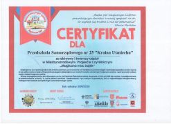 większy obrazek nr 12
