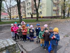 większy obrazek nr 2
