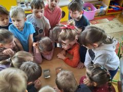 większy obrazek nr 3