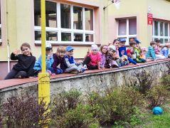 większy obrazek nr 1