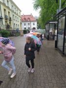 większy obrazek nr 1