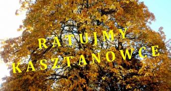 większy obrazek nr 1