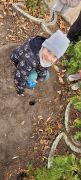 dziewczynka sadzi cebulkę żonkila