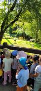 Dzieci w ZOO Akcent