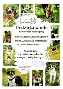 większy obrazek nr 4